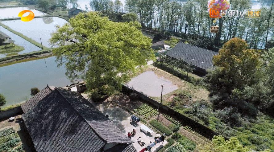 向往的生活2023会完结吗,向往的生活第七季怎么停更了