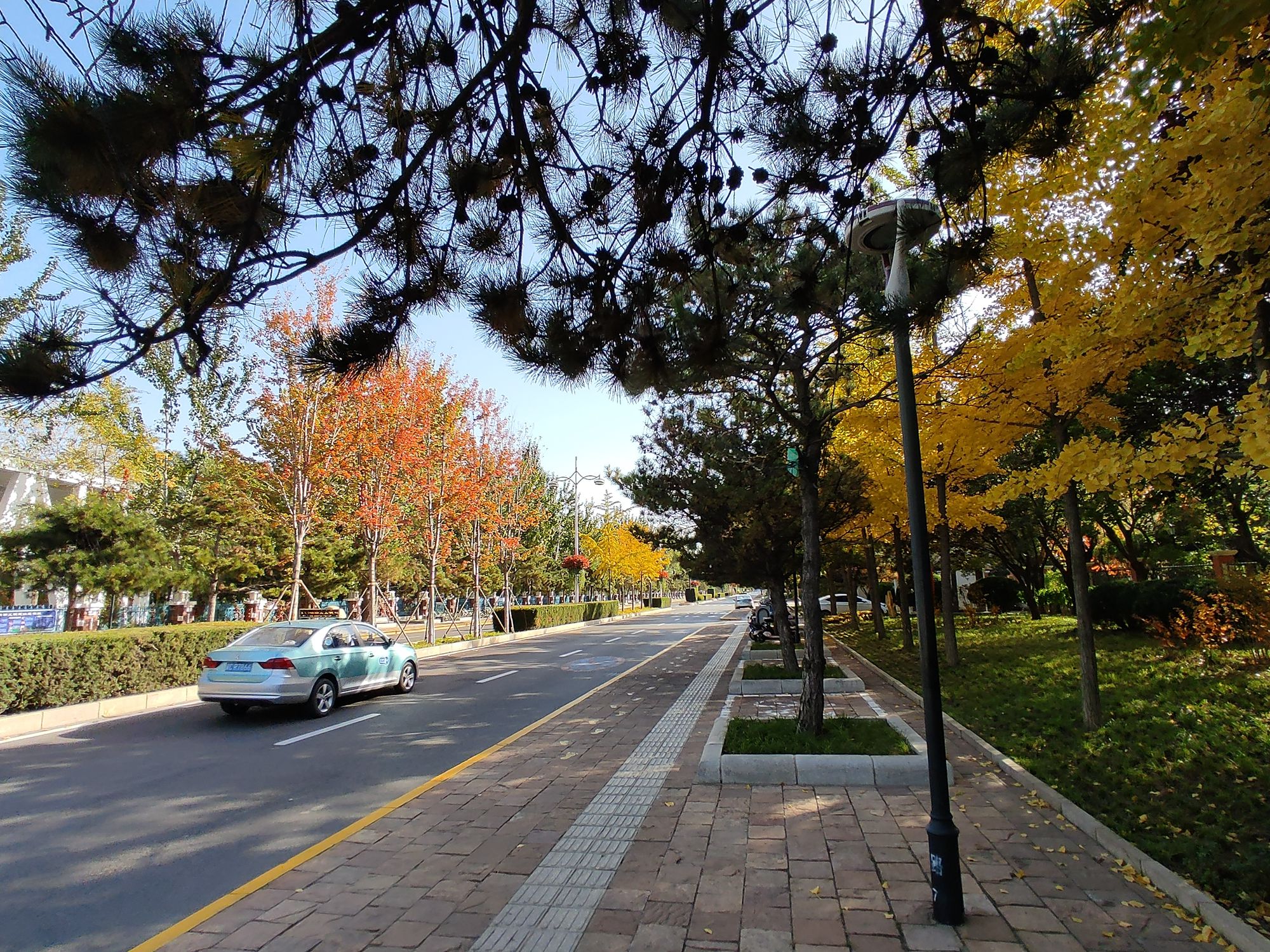 欣赏年画、邂逅大海、闲逛宜家，将生活过成诗与远方