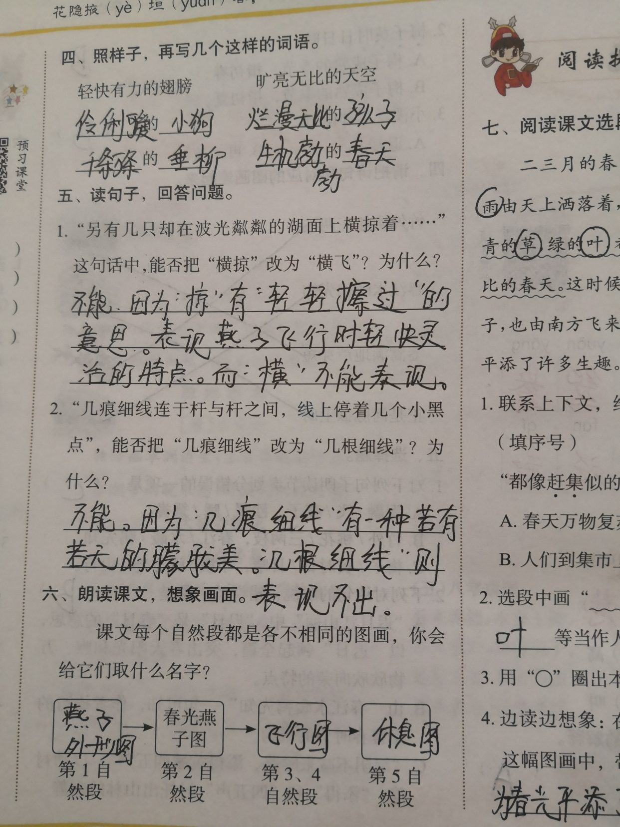 三年级下册燕子知识点讲解,三年级下册第二课燕子讲解视频