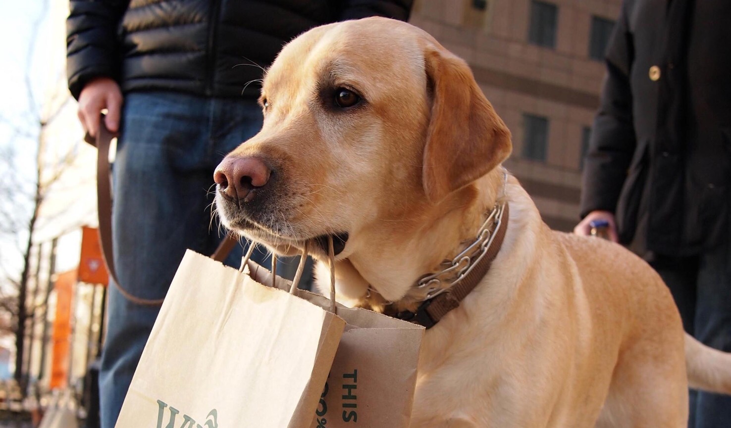 被宠物医院坑了的钱怎么要回,如何避免被宠物医院坑