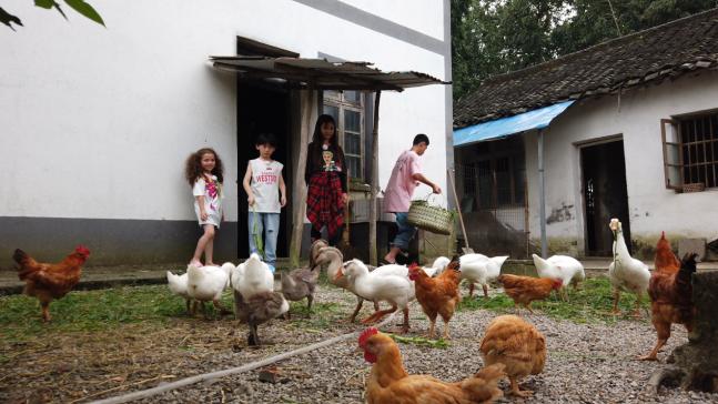 澳牧随知盘中餐,澳牧谁知盘中餐澳牧