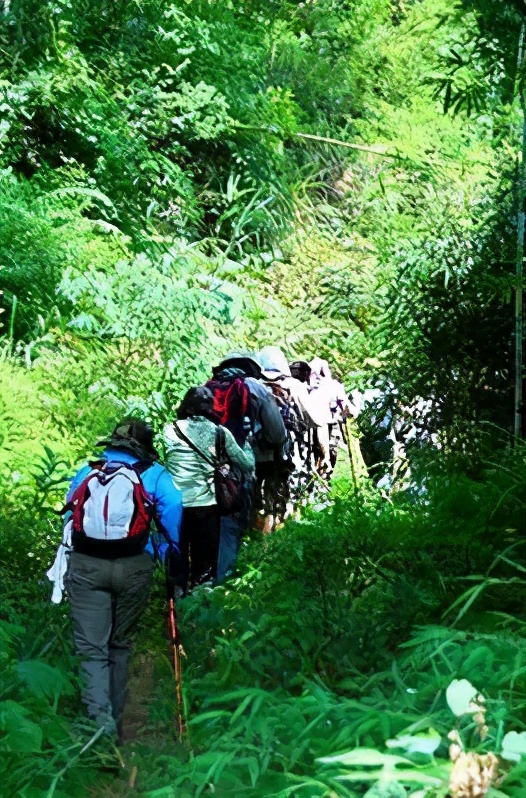 拓展基地打卡景观,拓展基地广东
