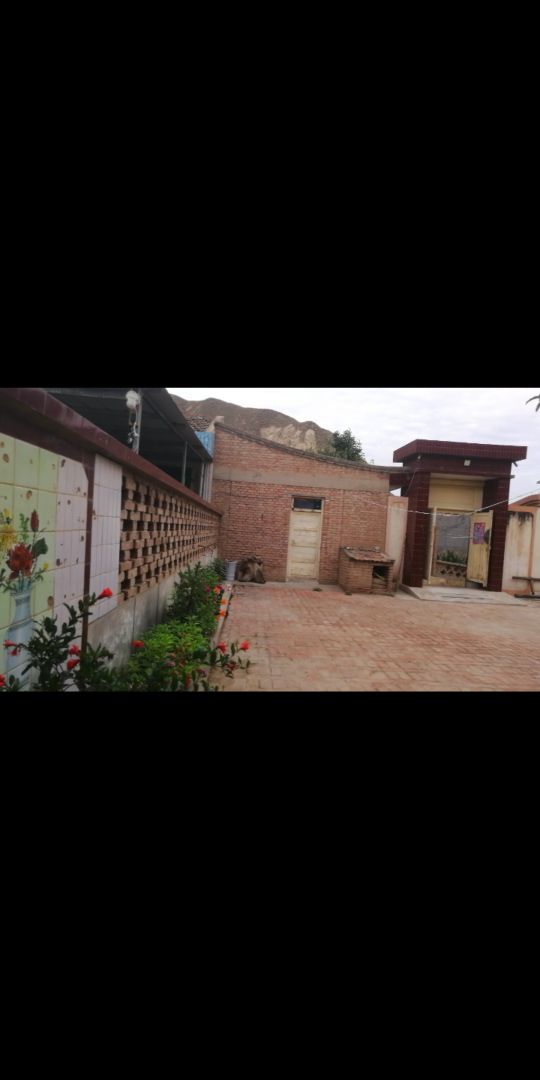 眼睛看不见的女大学生,眼睛看不见却考上大学的考生