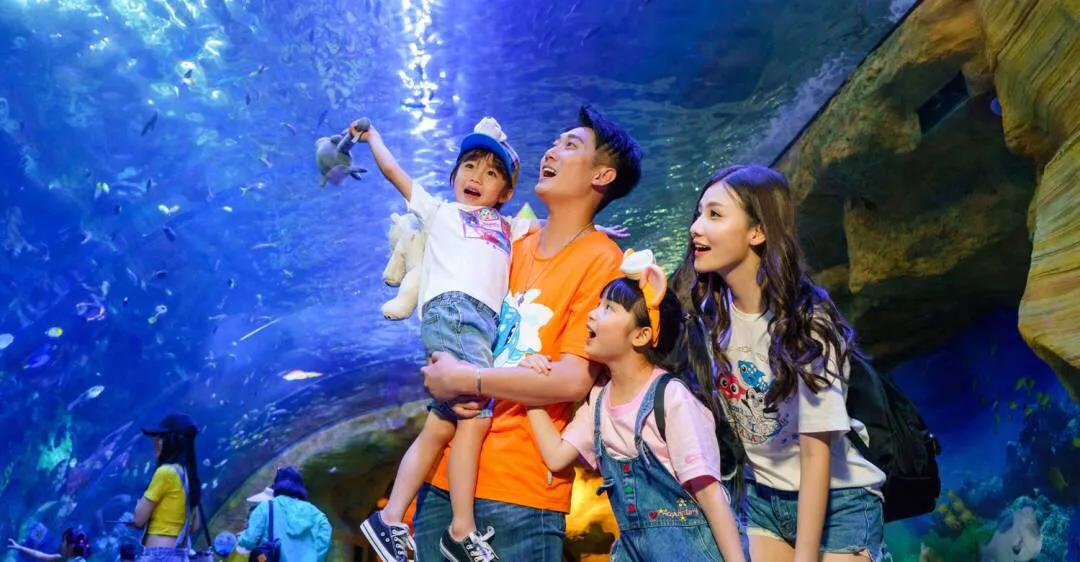 珠海长隆海洋王国美的像童话世界,珠海长隆海洋王国体验游玩