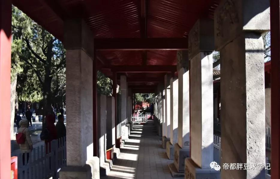 昨天刚沾了文曲星“仙气”儿，这两天学习效果就拉满了