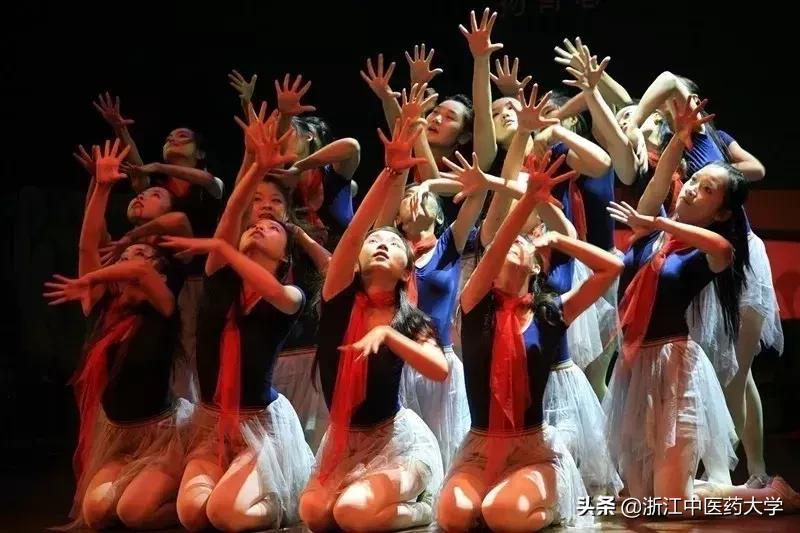 浙江中医药大学三位一体招生考题,浙江中医药大学三位一体招生简章