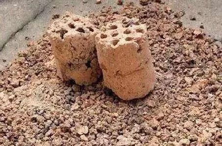 多肉变废为宝方法,废物利用养多肉