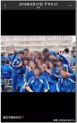 少年派大结局满是遗憾,少年派每个人的结局