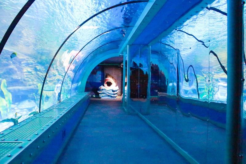 西安幻太奇海洋馆门票价格是多少,西安太奥幻太奇海洋馆营业到几点