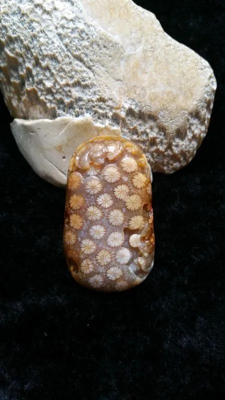 珊瑚玉有什么用,珊瑚玉怎么选