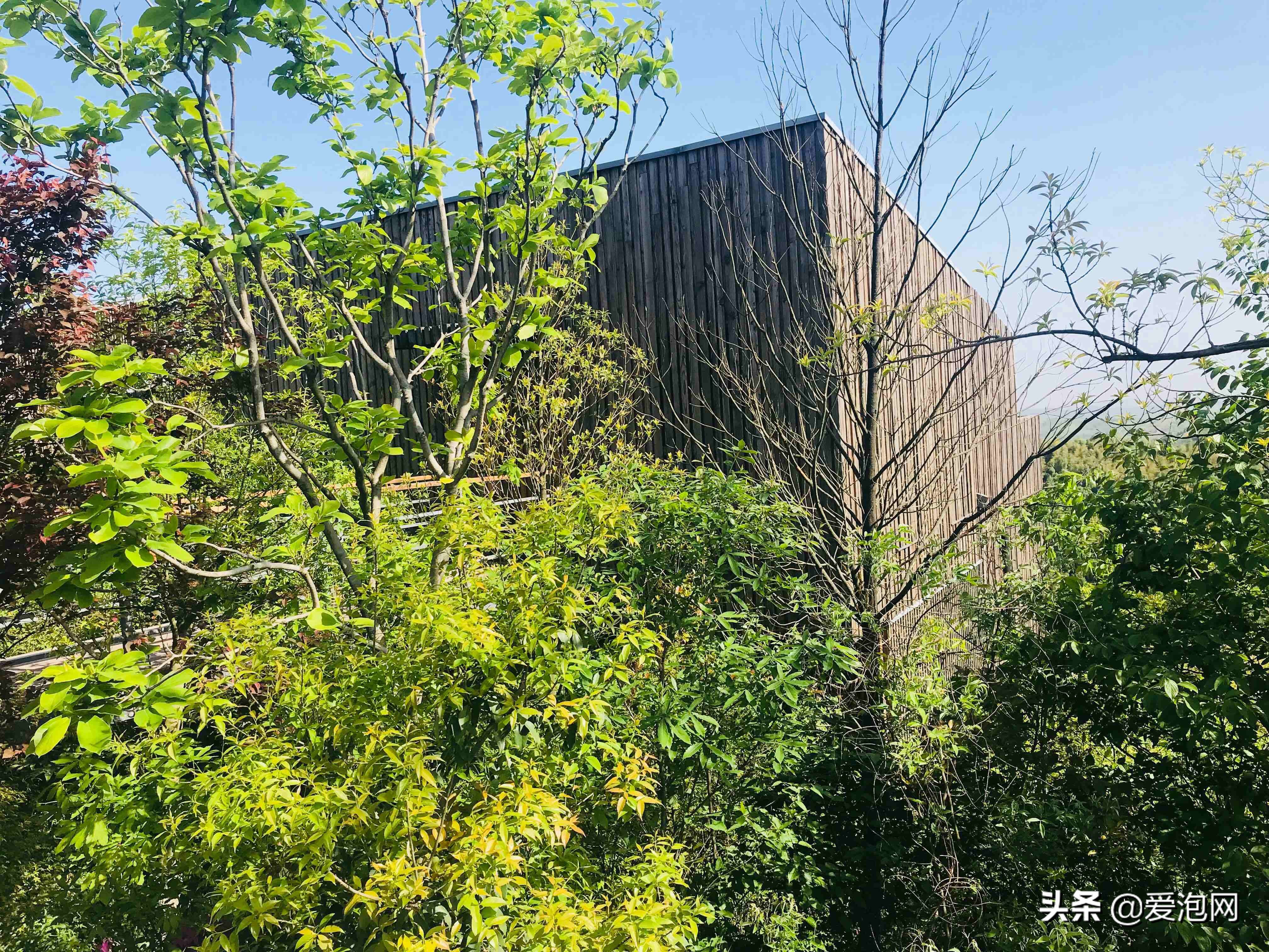 可以一边泡温泉一边欣赏天目湖,天目湖御水温泉景点