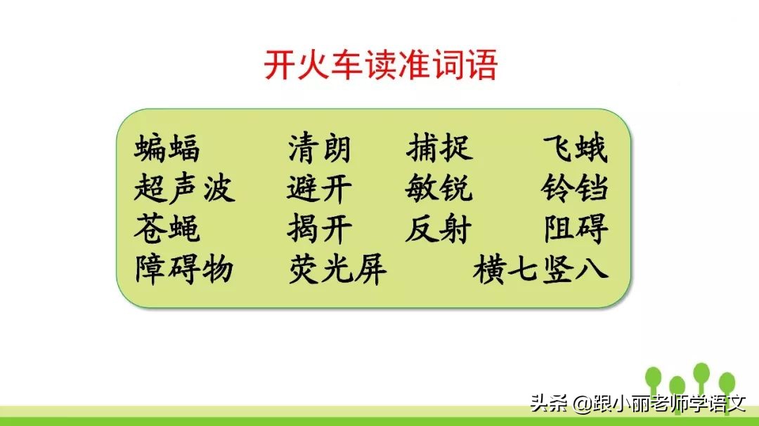 语文思维导图四年级上蝙蝠和雷达,人教版四年级上册蝙蝠和雷达朗读