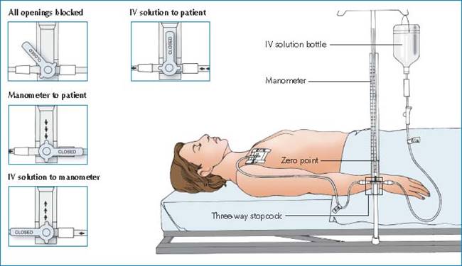 新加坡男子虐待小狗,泰国男子虐待15岁的狗