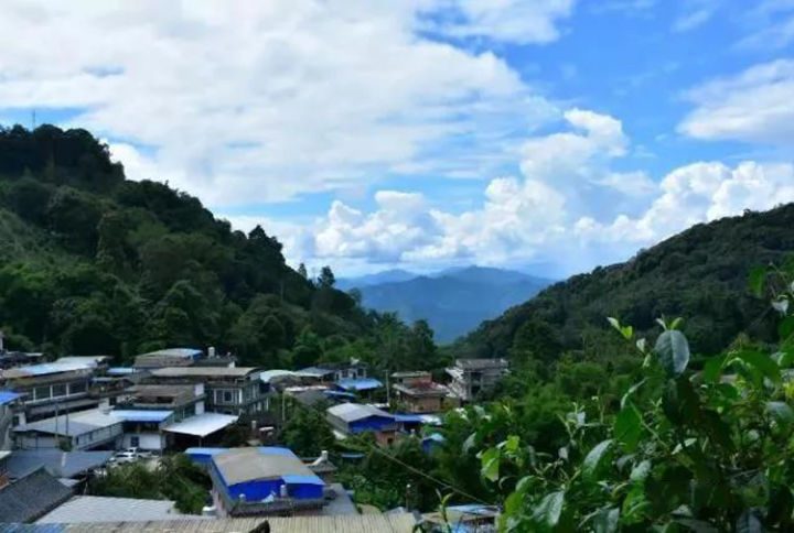 用一句话描述各山头普洱茶的特点,普洱茶六大名山头茶的特点介绍