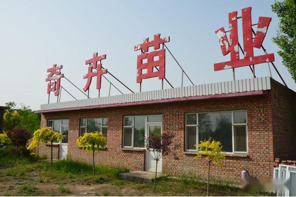 忻州花卉植物园,山西原平植物园