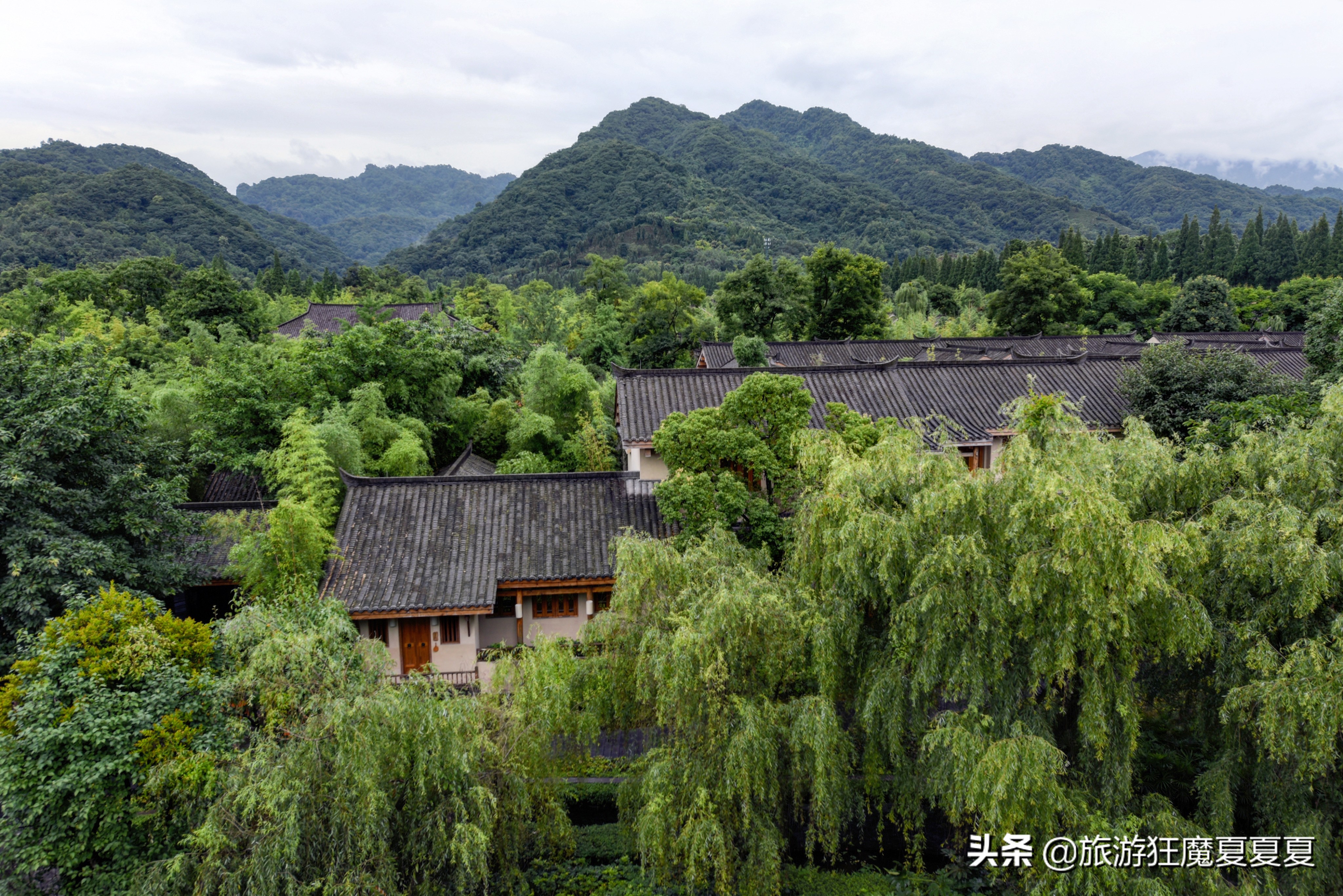 青城山值得推荐的酒店,青城山价格实惠的酒店
