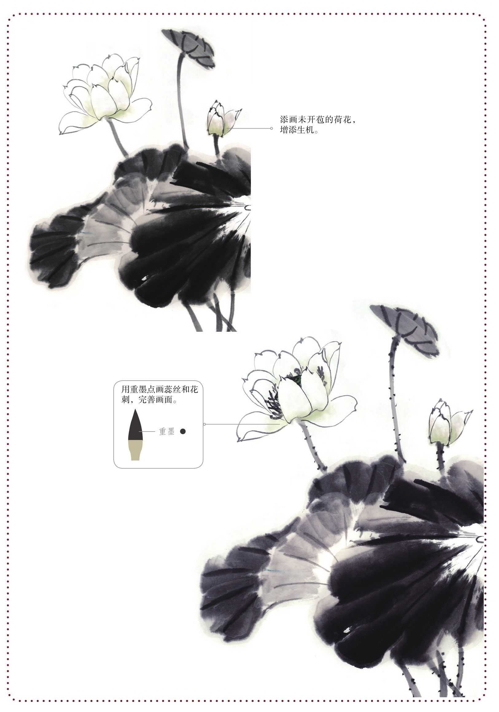 荷花荷叶组合画法,荷花组合教程完整版