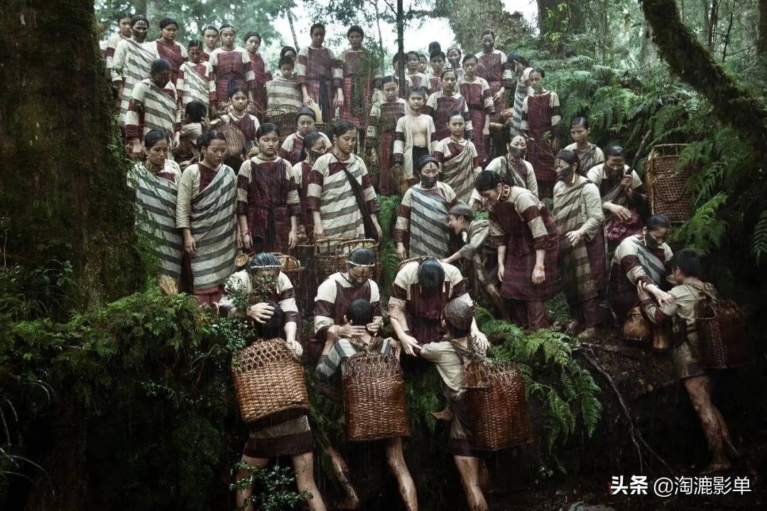 豆瓣评分9分以上的十四部电影,豆瓣评分9.5以上的电影一口气看完