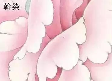 工笔画红叶染色技法,工笔画牡丹花头染色技法步骤