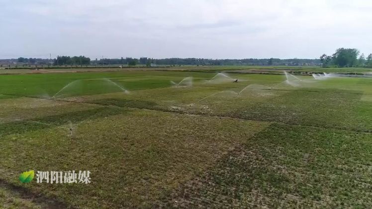 2019年泗阳县重点民生工程,农村重点民生实事