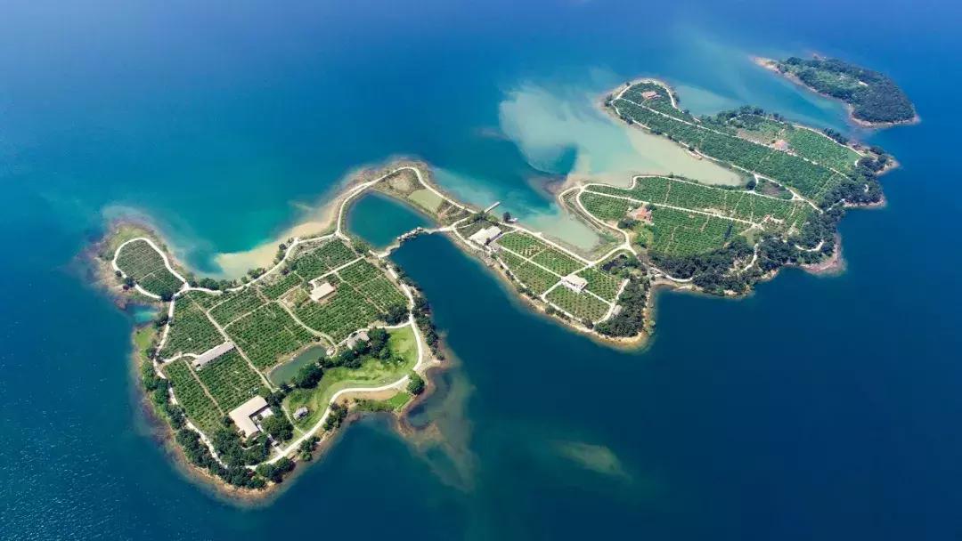 荆门哪个省的,荆门是哪儿