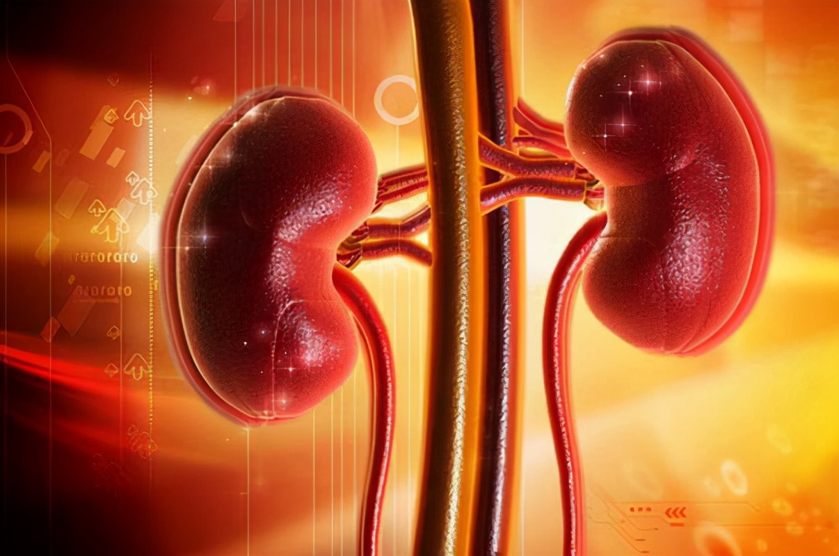 男子脚扭伤查出肾衰竭,为何年轻人易得肾病?这4点可修复肾功能