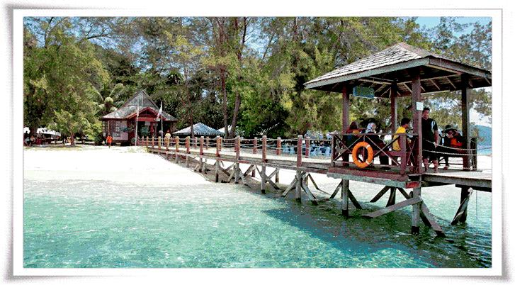 美人鱼之乡，速成老司机专场