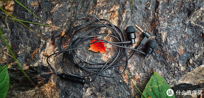 百元首选，实至名归的BEST BUY