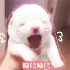 2018年度cp盘点,2018最让人羡慕的cp