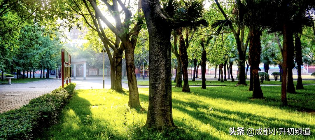 2024嘉祥锦江小升初招生简章,嘉祥温江小升初招生简章