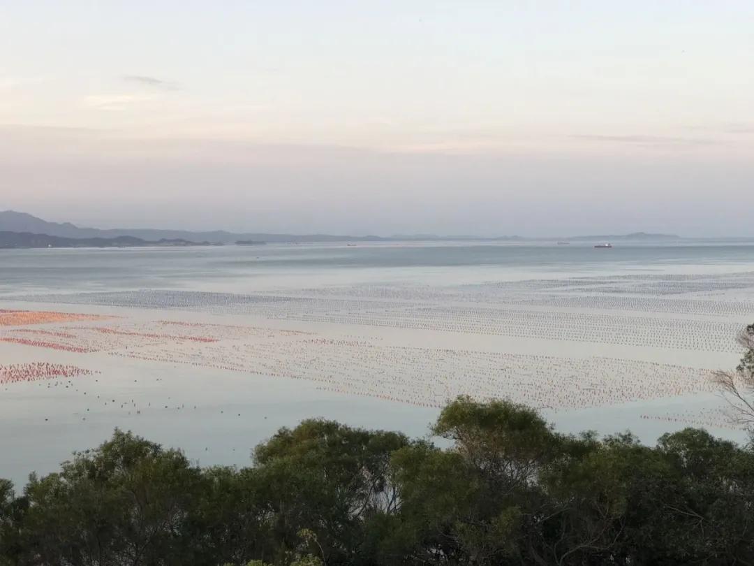 南澳岛上小众海滩,南澳岛3天2晚游攻略
