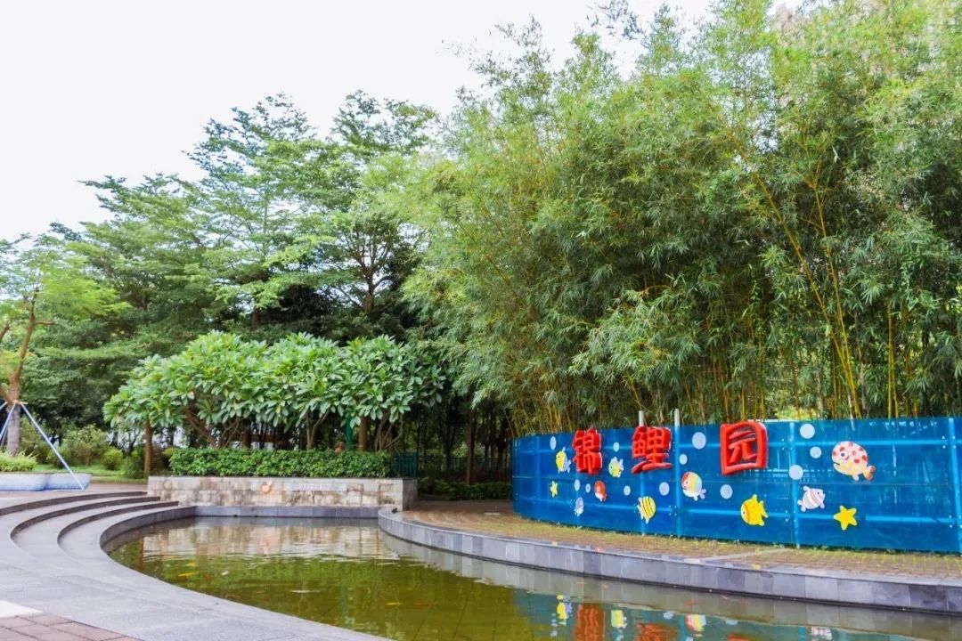 深圳3号线有哪些可以玩的,深圳7号线攻略