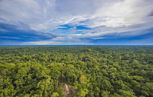 看起来是绿色天堂，实则是人类禁区的亚马逊雨林到底有多恐怖？