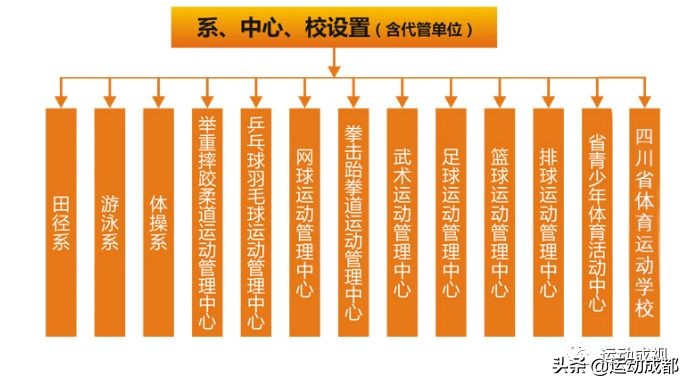 你真的是太有料了----四川体育职业学院