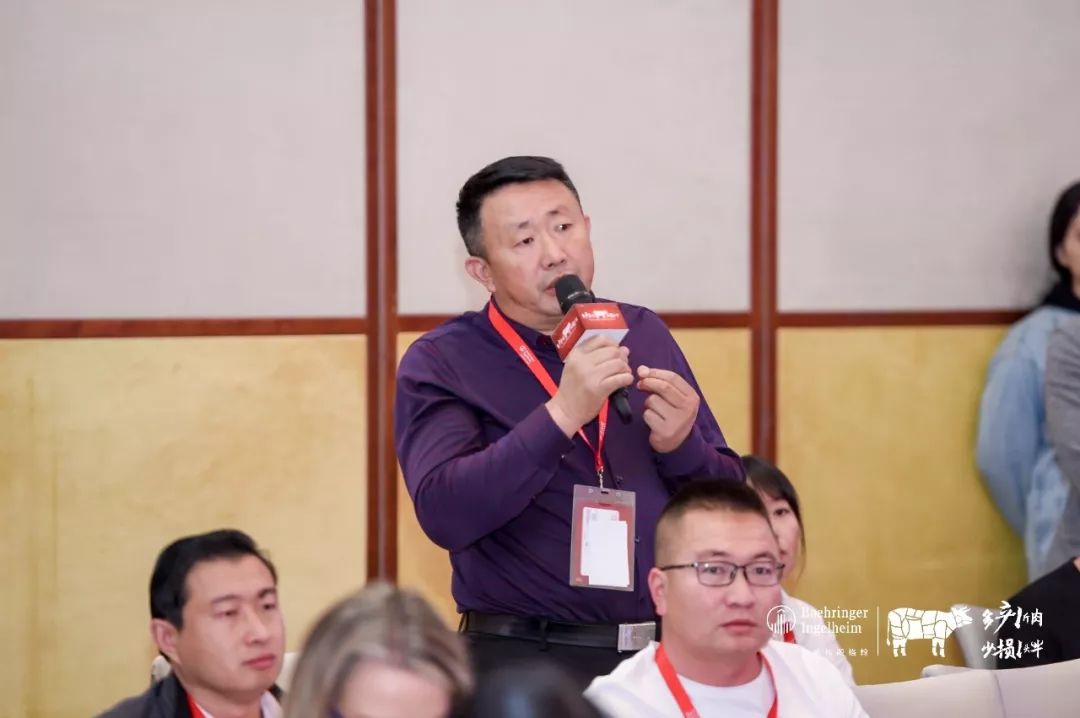 这一次，风口上站的是肉牛