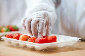 一红到底只卖一天，盒马的葲荭草莓逼疯供应商