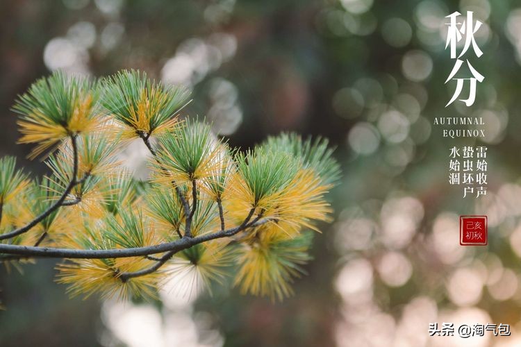 秋分愿生活恰如其分,人生恰如秋分生活恰如其分