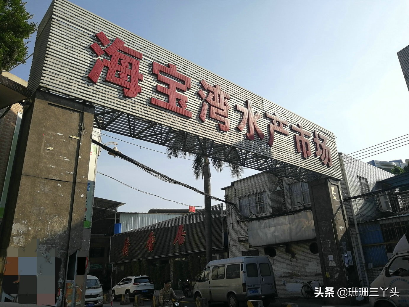 广州最优惠的海鲜市场,广州生蚝批发送货上门