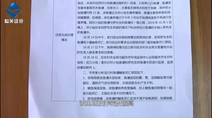 追踪|价值23万的雪鲮意外死亡!水质监测报告已出,谁之过?