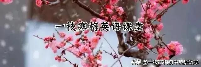 2021年高考英语高频考查主题素材词分类记丨旅游与交通