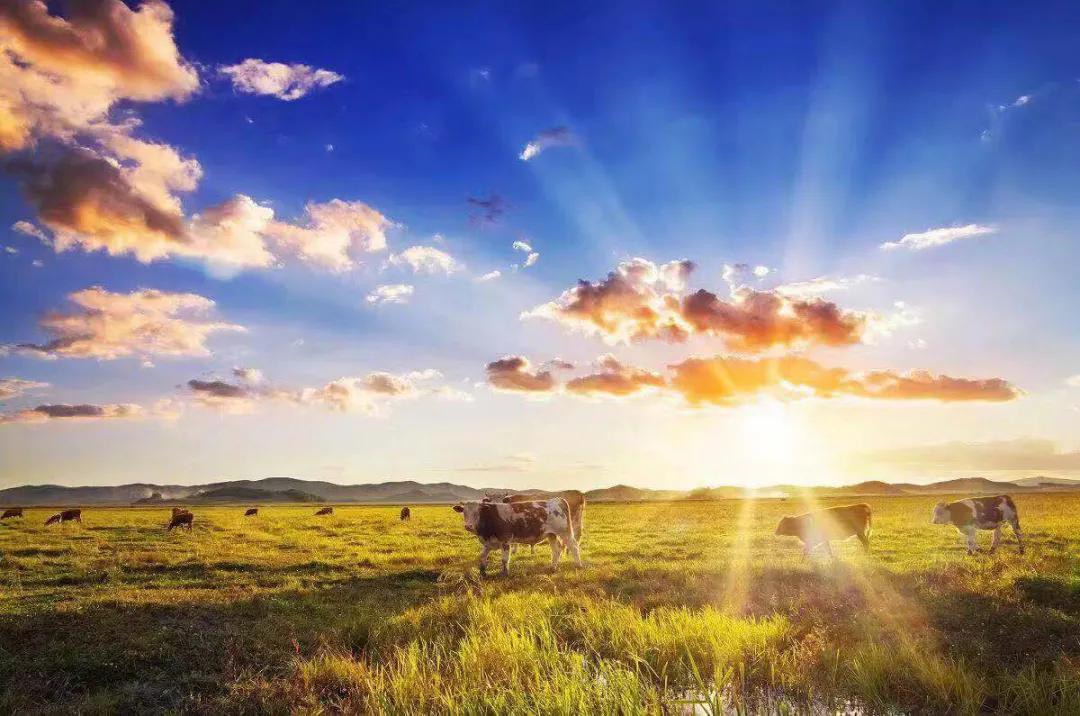 国庆敦化一日游,国庆长假敦化旅游攻略