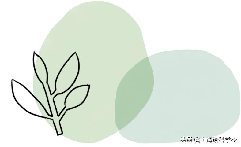 手工艺术社团,高雅艺术社团