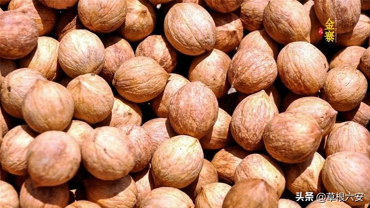 不输黄山迎客松的迎客松,不输黄山的景点