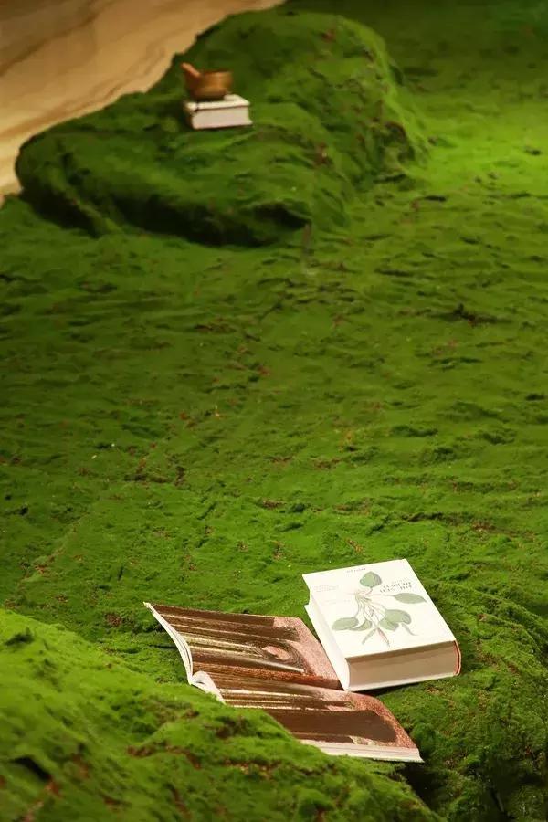 6月魔都哪些展览不能错过,魔都漫展六月紫色风暴