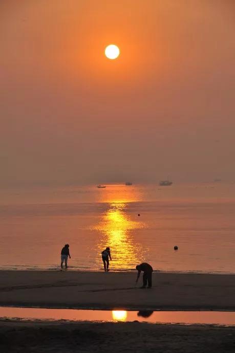 秦皇岛最美丽的海滩,秦皇岛北戴河最好的海滩