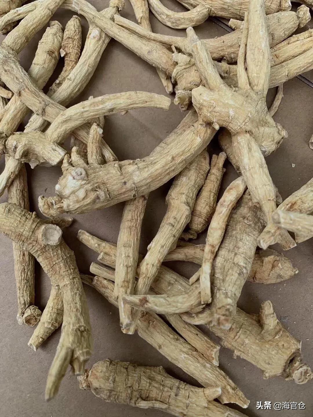 西洋参怎么泡水喝可以治咳嗽,冬季西洋参茶的正确喝法