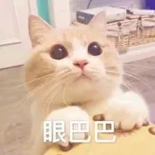 一个星期背熟考研词汇,考研打卡day1