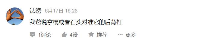 告诉孩子被狗咬怎么自救,如果小孩被狗咬怎么自救