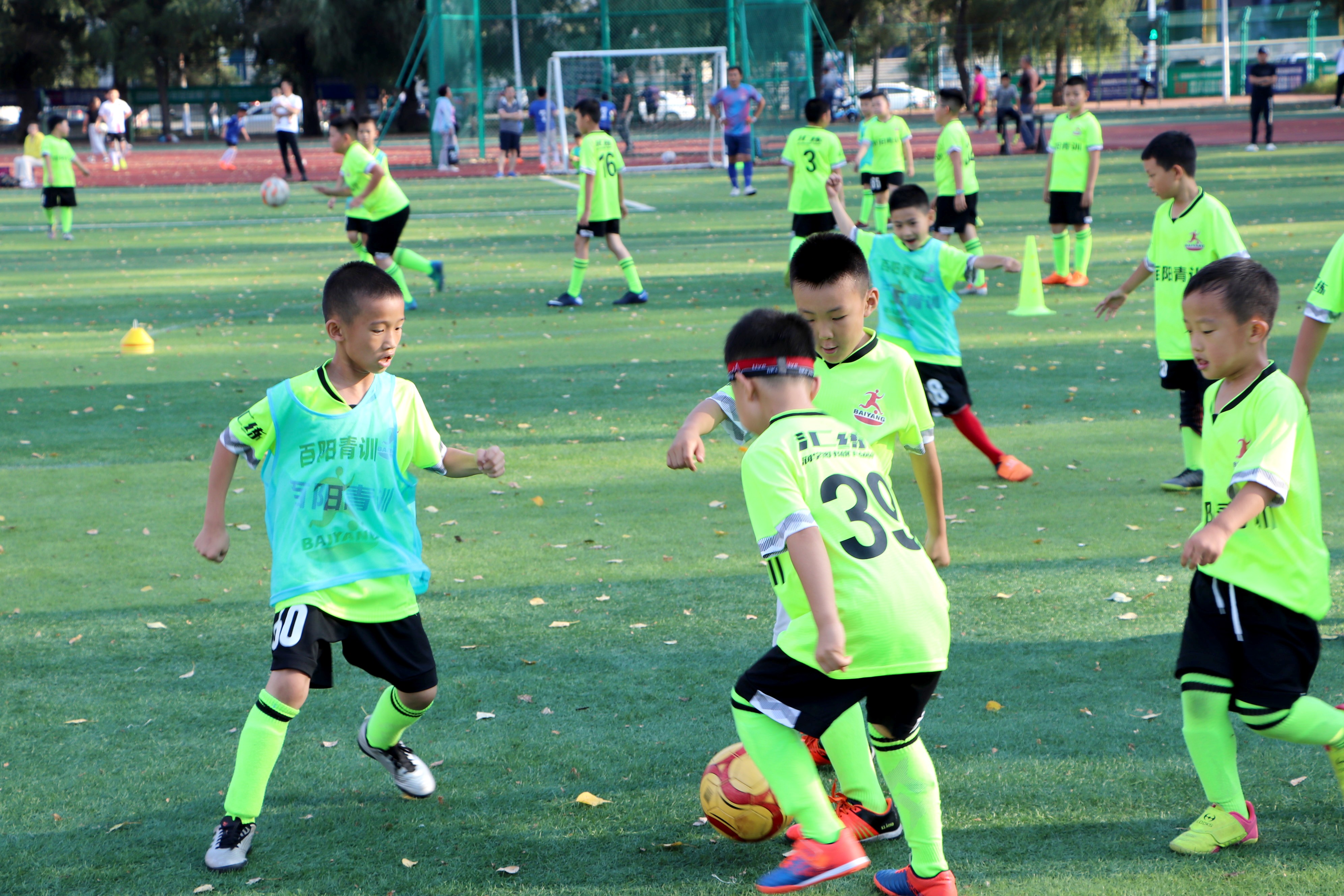 中国队名宿辅导团,中国足球小将培训课