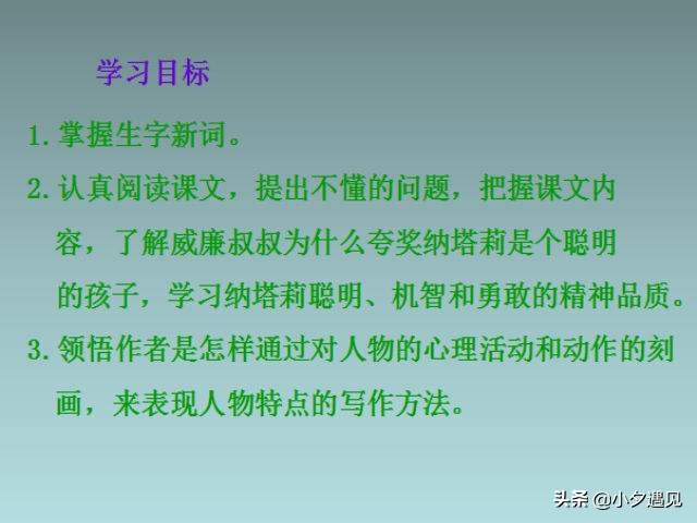 读小壁虎借尾巴的反思,读小壁虎借尾巴知道了什么常识